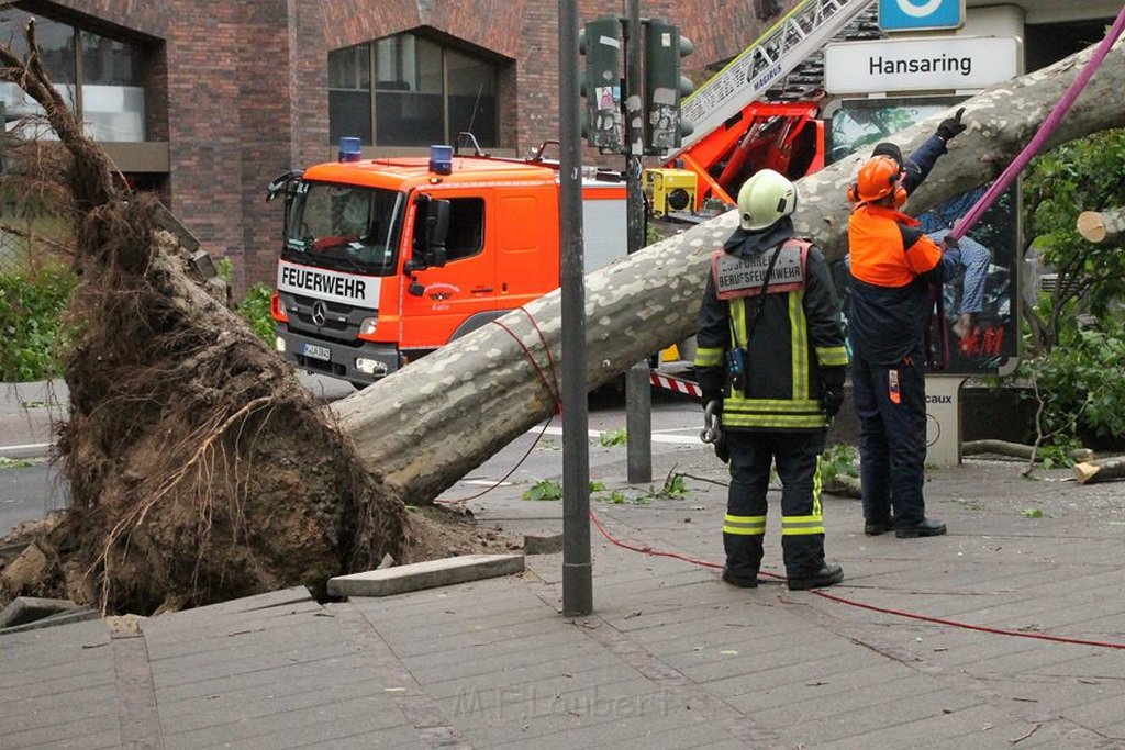 Baum umgestuerzt Koeln U Bahn Hansaring P16.jpg